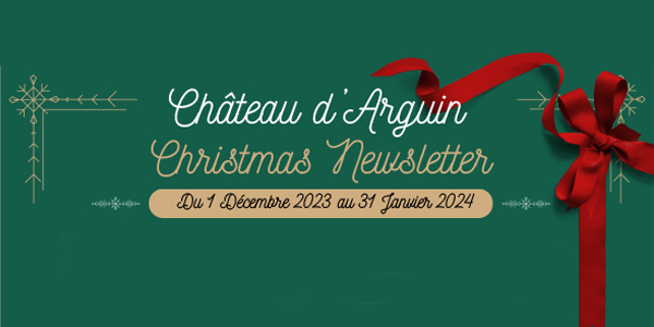 Christmas Newsletter